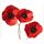 Amapola7