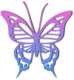 mariposall mariposall