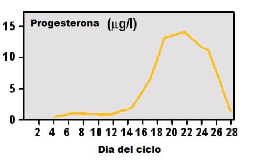 gráfica de progesterona