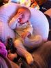 Bild vergr��ern