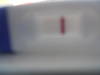 Bild vergr��ern