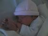 Bild vergr��ern