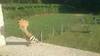 Bild vergr��ern