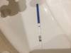 Bild vergr��ern
