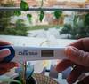 Bild vergr��ern